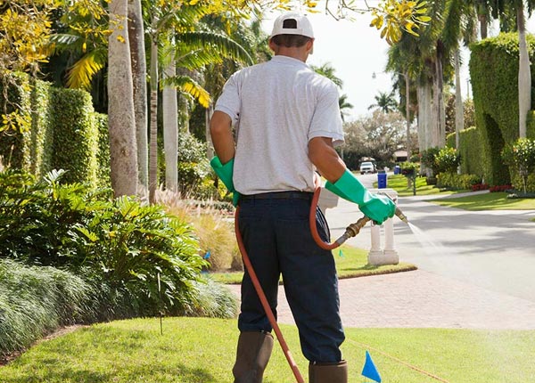 About Loris SC Pest Control Pros